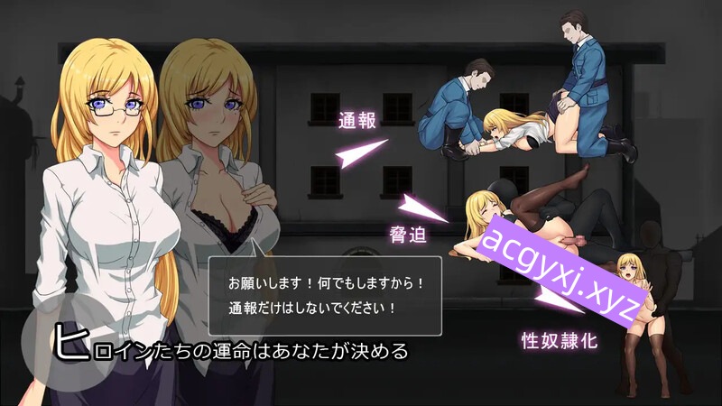 DL7月新作【经营SLG/盗摄/巨乳爆乳/动态】避难所RE（シェルターRE） 生肉版+自带全回想解放 [450M]