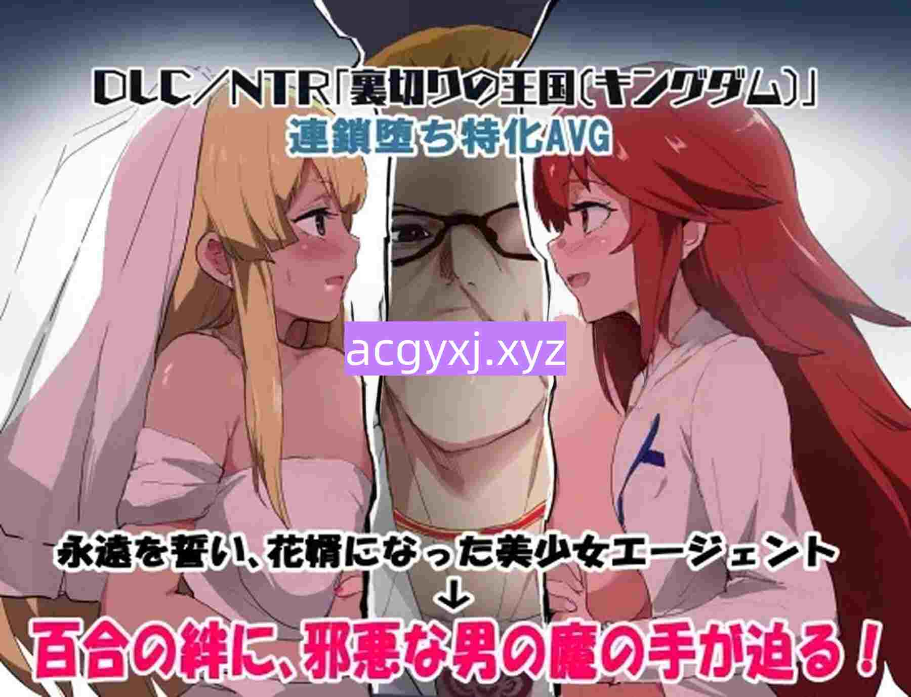 新作[探索RPG/NTR/堕落] 特工天狼星：幕间 エージェントシリウス インタルード Demo Ver1.0 AI汉化版 [440M]