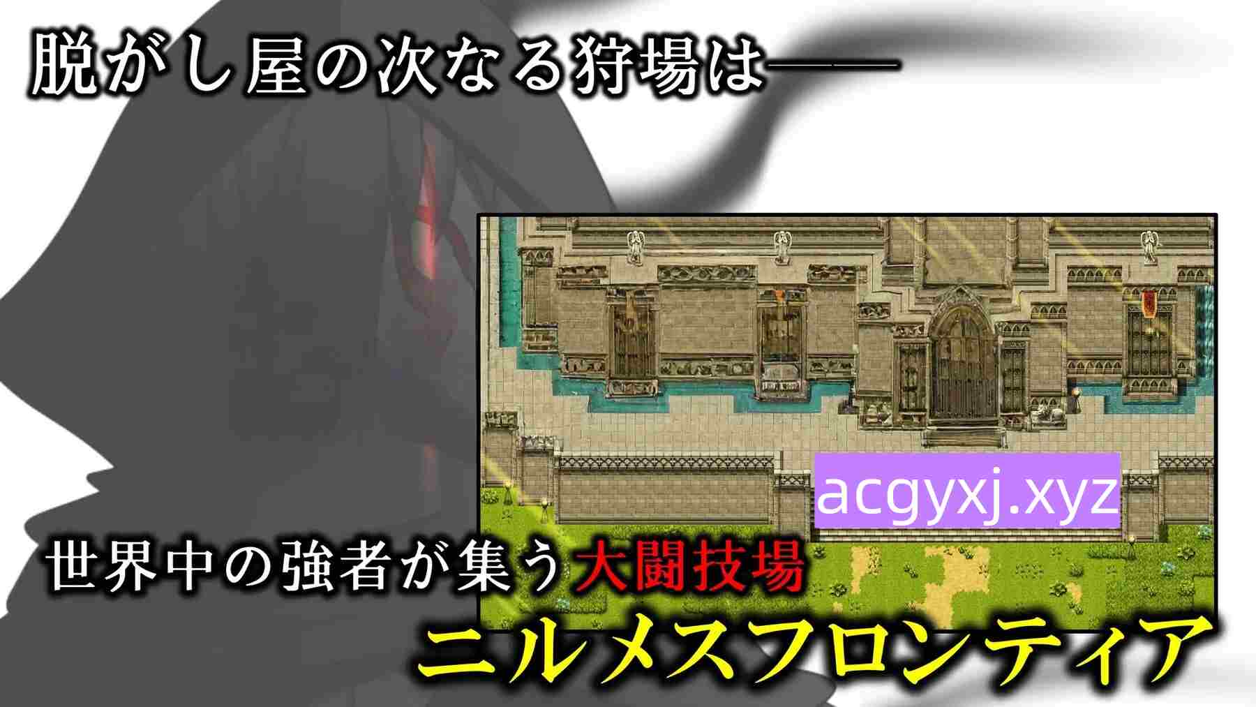 新汉化[日式RPG/脱衣/暴露] 全裸指令—勇者莱维与尼尔梅斯王国的阴谋— FULLNUDE ORDER《フルヌード オーダー》ー勇者レヴィとニルメス王国の陰謀ー 内嵌AI汉化版+DLC [1.40G]