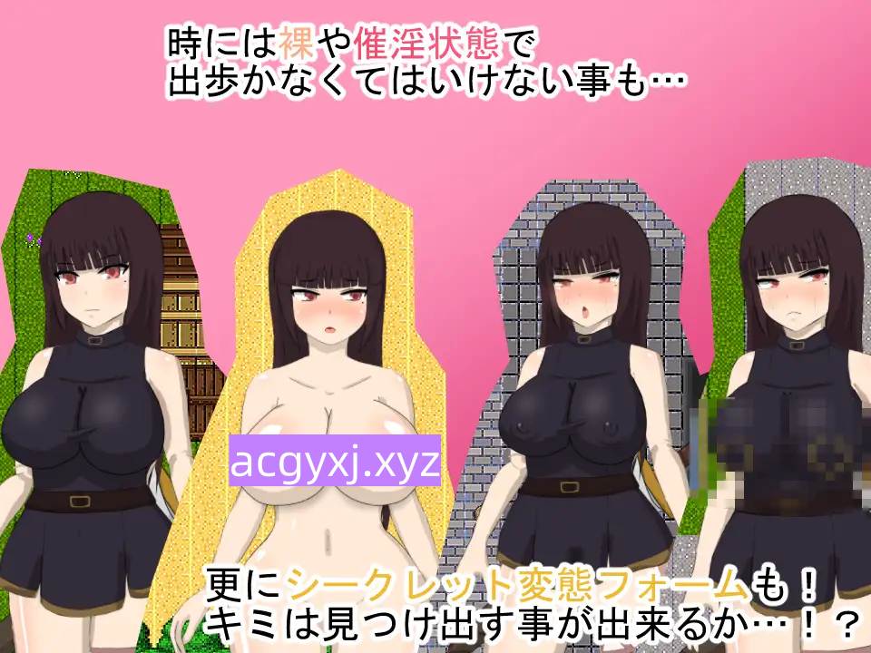 新汉化[战斗RPG/NTR/色情] 绯红公主 スカーレットプリンセスver2 AI汉化版+全回想存档 [3.20G]-ACG游戏姬