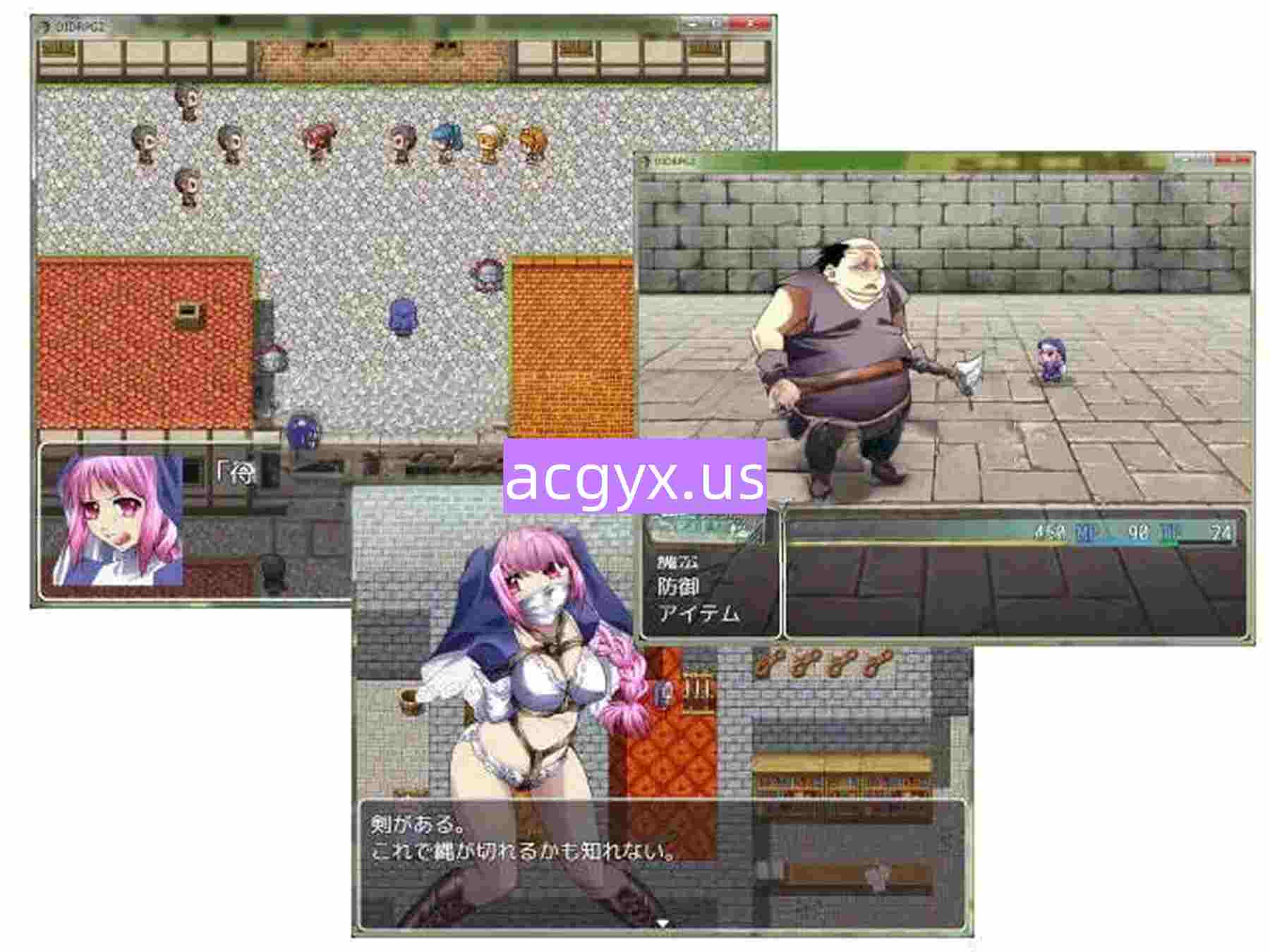 [日式RPG] DID RPG2 ―神殿骑士诱拐― DID RPG2 ―神殿騎士誘拐― 机翻版 [760M]